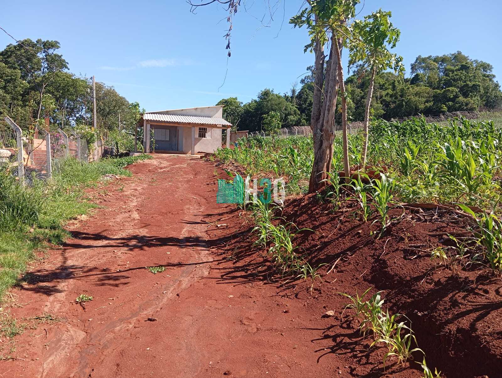 Chácara à venda na Gleba Nova Ukrania - Apucarana/Pr